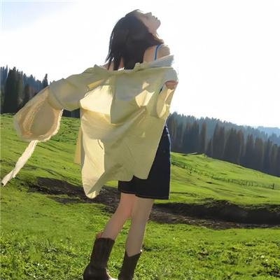 飞机上有蛇